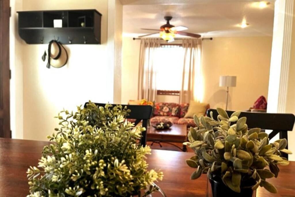 House Close To Downtown, Airport, Raymond James Stadium, And Many More Places Τάμπα Εξωτερικό φωτογραφία
