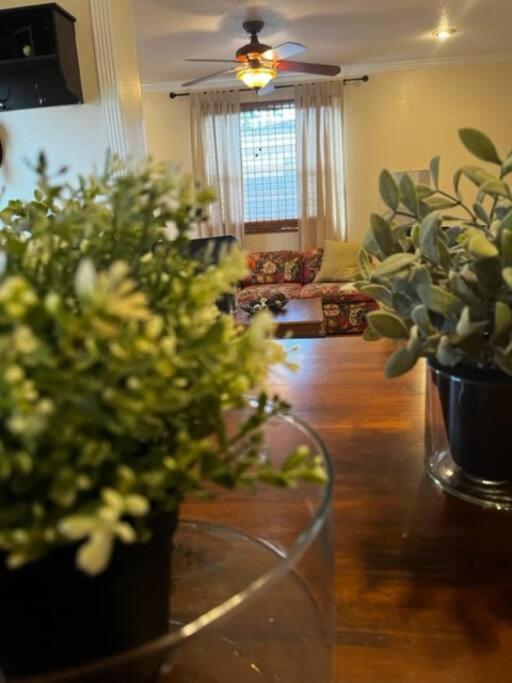House Close To Downtown, Airport, Raymond James Stadium, And Many More Places Τάμπα Εξωτερικό φωτογραφία